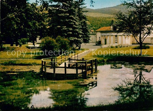 Zwesten bad loewensprudel - zwesten,