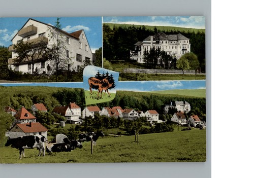 Zwesten - ,